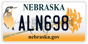 ALN698  license plate in NE