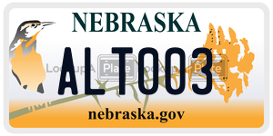 ALT003  license plate in NE