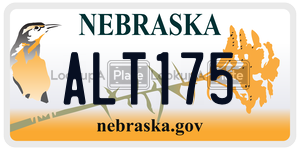 ALT175  license plate in NE
