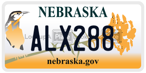 ALX288  license plate in NE