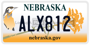 ALX812  license plate in NE