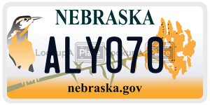 ALY070  license plate in NE