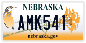 AMK541  license plate in NE