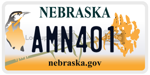 AMN401  license plate in NE