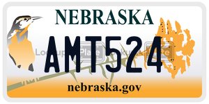 AMT524  license plate in NE