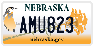 AMU823  license plate in NE