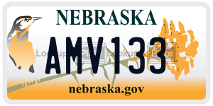 AMV133  license plate in NE