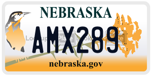 AMX289  license plate in NE