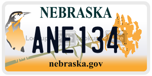 ANE134 license plate in Nebraska