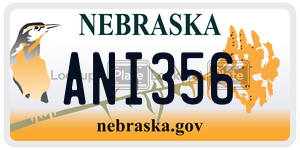 ANI356  license plate in NE