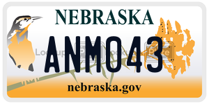 ANM043  license plate in NE