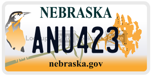 ANU423  license plate in NE