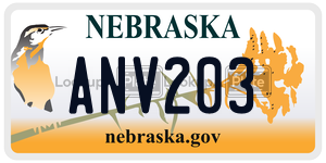 ANV203  license plate in NE