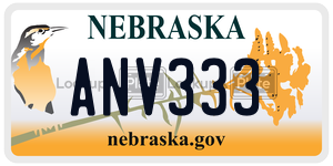 ANV333  license plate in NE