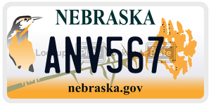 ANV567  license plate in NE