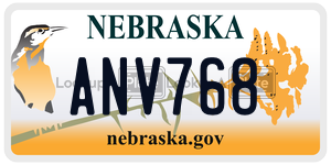ANV768  license plate in NE