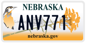 ANV771  license plate in NE