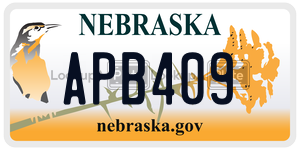 APB409  license plate in NE