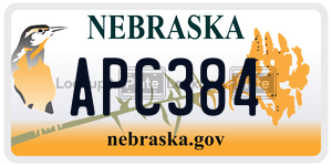 APC384  license plate in NE