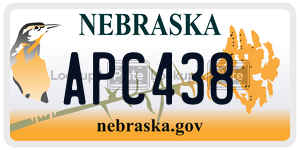 APC438  license plate in NE