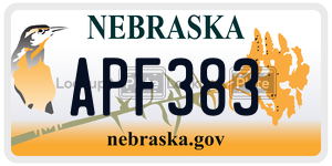 APF383  license plate in NE