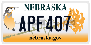 APF407  license plate in NE