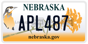 APL487  license plate in NE