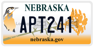 APT241  license plate in NE