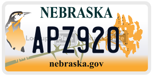 APZ920  license plate in NE