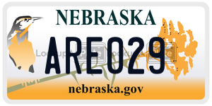ARE029  license plate in NE