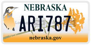 ARI787 license plate in Nebraska