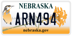 ARN494  license plate in NE