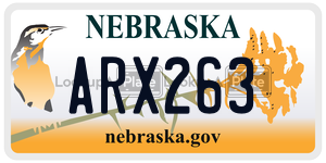 ARX263  license plate in NE