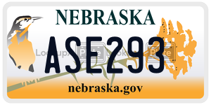 ASE293  license plate in NE