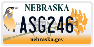 ASG246  license plate in NE