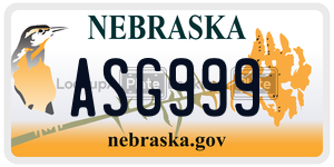 ASG999  license plate in NE