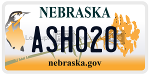 ASH020  license plate in NE