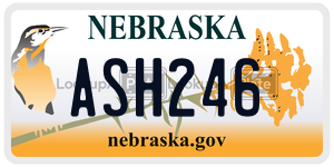 ASH246  license plate in NE