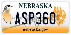 ASP360  license plate in NE