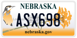ASX698  license plate in NE