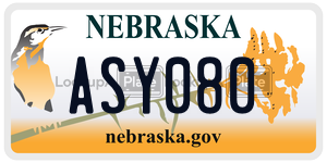 ASY080  license plate in NE