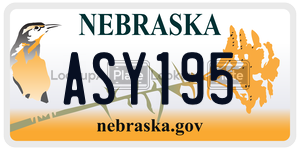 ASY195  license plate in NE