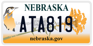 ATA819  license plate in NE