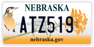 ATZ519  license plate in NE