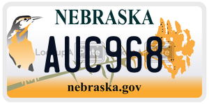 AUC968  license plate in NE