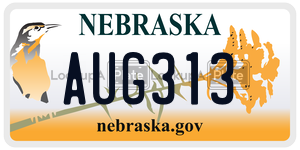 AUG313  license plate in NE