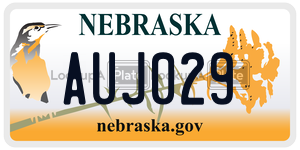AUJ029  license plate in NE