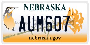 AUM607  license plate in NE
