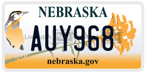 AUY968  license plate in NE