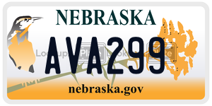 AVA299  license plate in NE